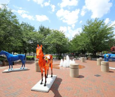 Horses at Triangle Park