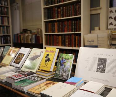 Books on counter
