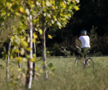 Legacy Trail 2