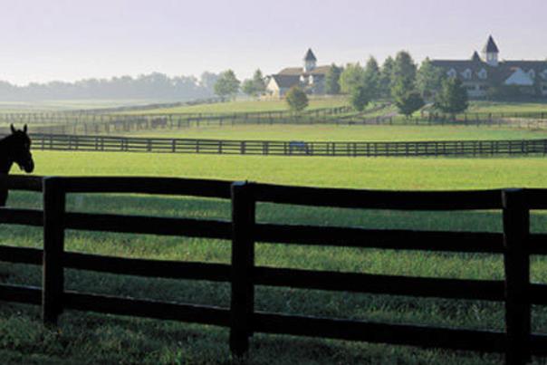 Lexington Horse Farm