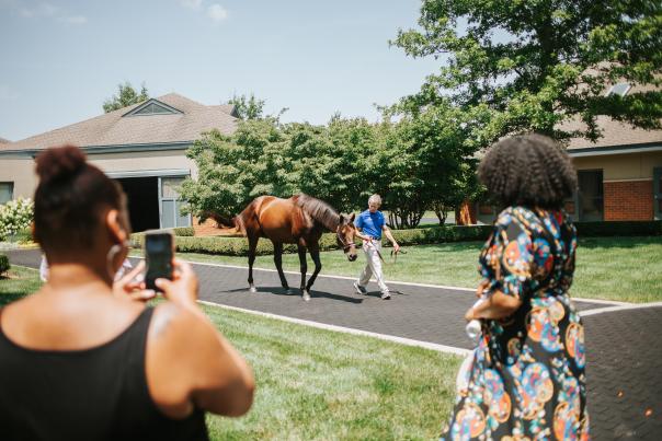 Horse farm tour