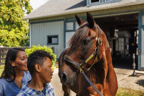 KY Horse Park