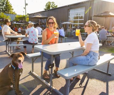 Dog Friendly Patio