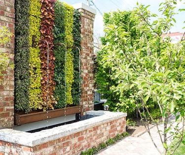 Apiary Event Space Garden
