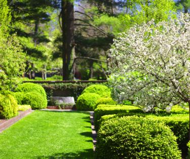 Ashland, Henry Clay Gardens