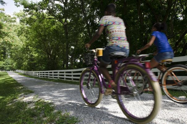Bikes-on-Turnpike-at-Shaker-Village-medium