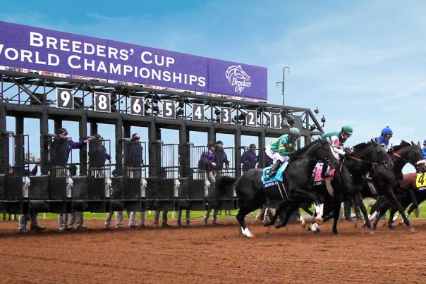 Horses racing at Breeders' Cup