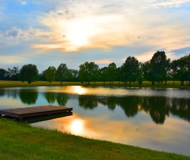 Talon pond