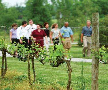 Equus Run Vineyards: Versailles, KY