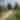 Horse Farm Tour