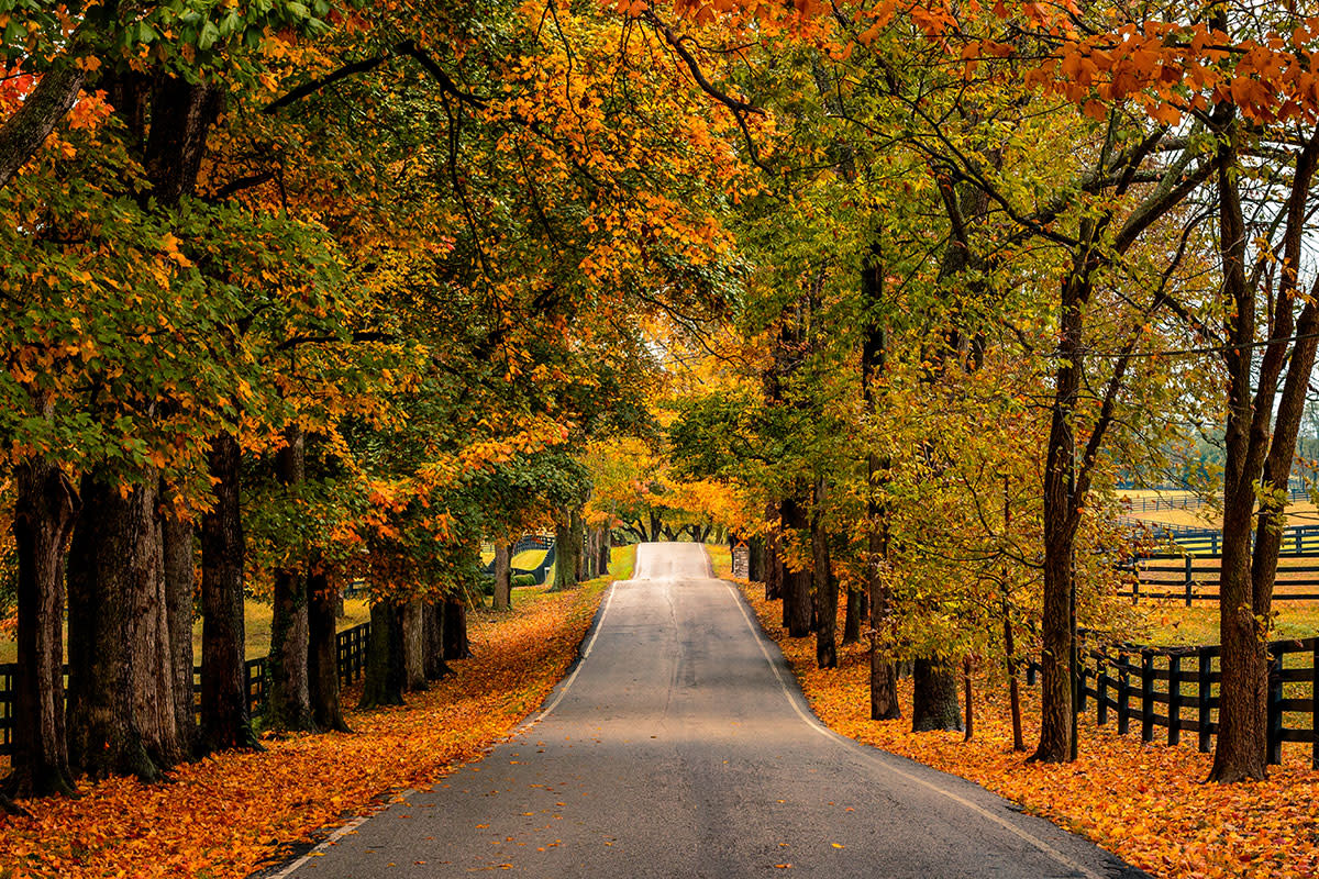 Fall Road
