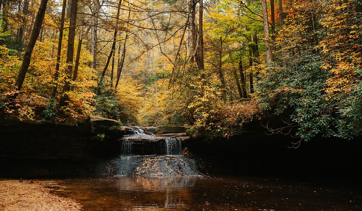 Fall Outdoors
