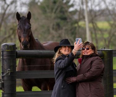 Horse Country tour at Jonabell Farm