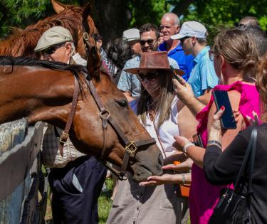 Horse Country tour at Mill Ridge Farm