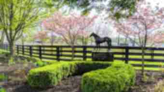 Horse Park is Open