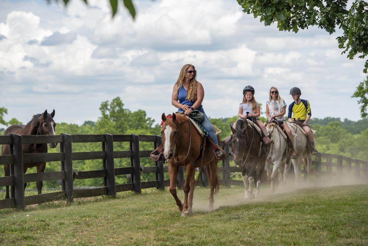 Horseback riding