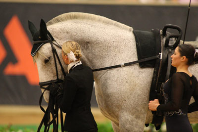 The first ever FEI World Games at the Alltech Arena.