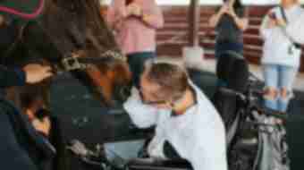 Man in a wheelchair petting horse