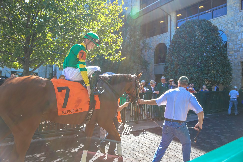 Lexington-29