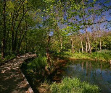 McConnell Springs
