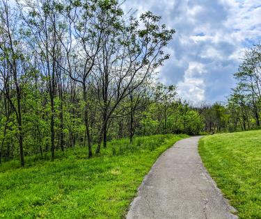 McConnell Springs Path