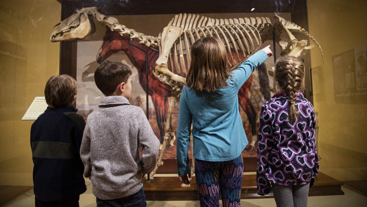 Four children in front of an exhibit at the International Museum of the Horse.
