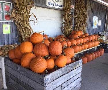 Reed Valley Orchard Fall