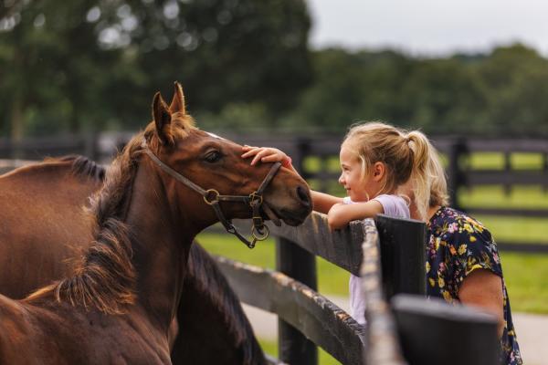 Little girl padding a horse.
