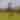 Location Pro Horse Feild