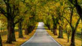 Scenic Country Road Near Lexington in Fall