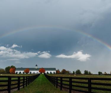 Spendthrift Rainbow