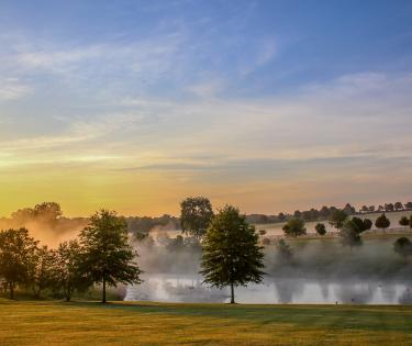 Morning at Jonabell Farm