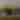 foggy landscape