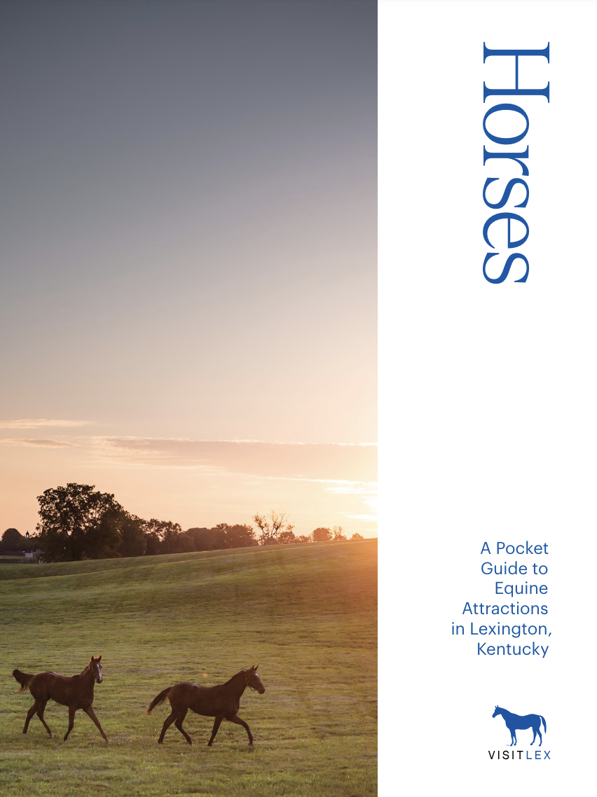 Horses Pocket Guide