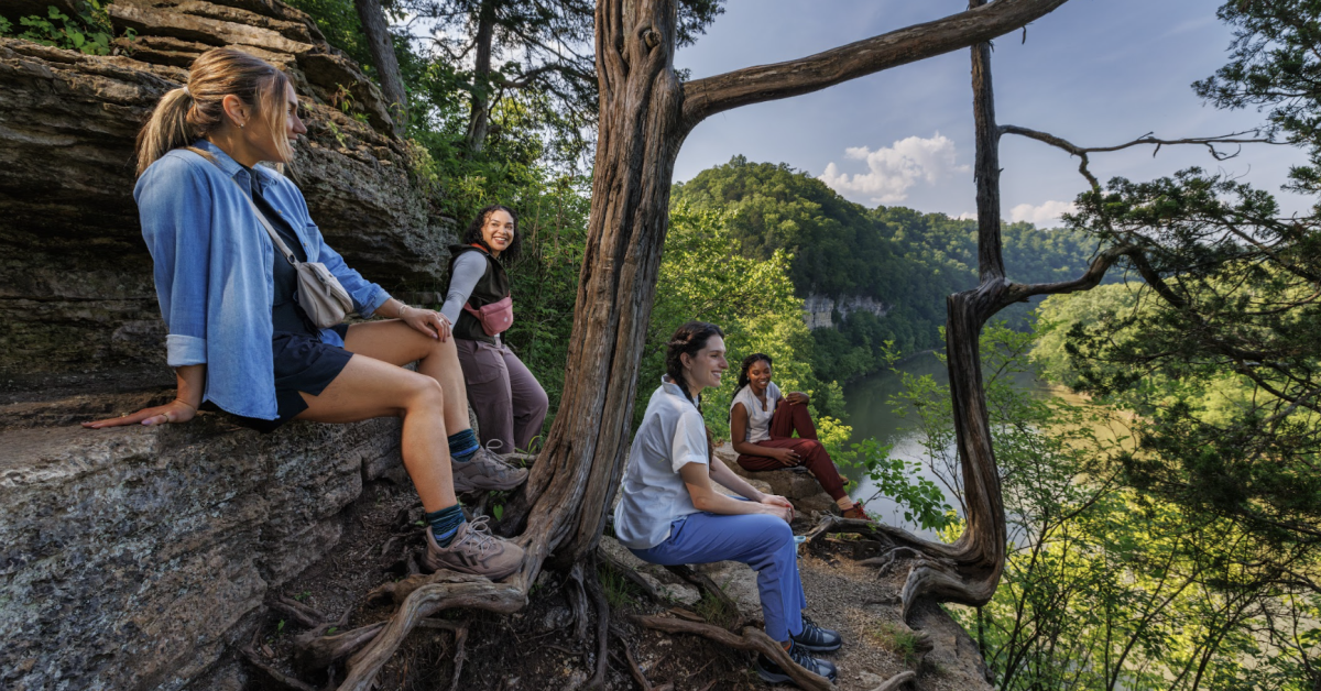 4 hikers sitting at an overlook in the woods