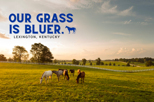 Our Grass Is Bluer